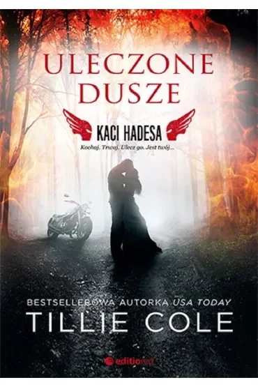 Uleczone dusze. Kaci Hadesa. Tom 3