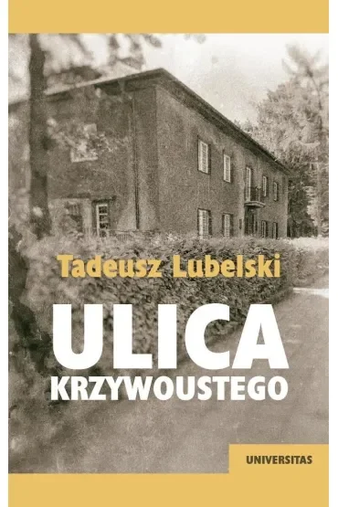 Ulica Krzywoustego