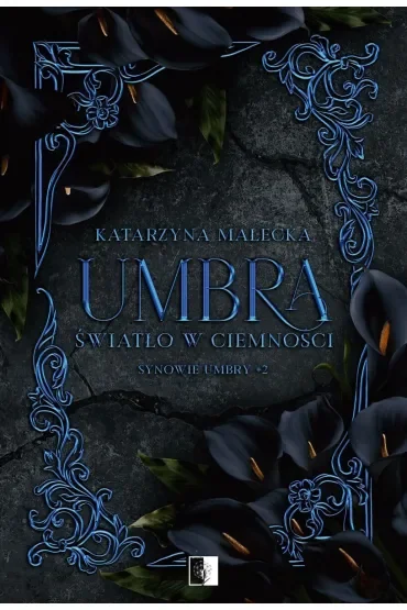 Umbra. Światło w ciemności. Seria Synowie Umbry. Tom 2