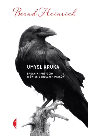 Umysł kruka. Badania i przygody w świecie wilczych ptaków
