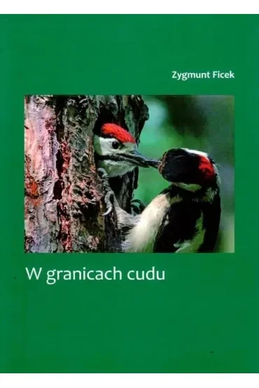 W granicach cudu
