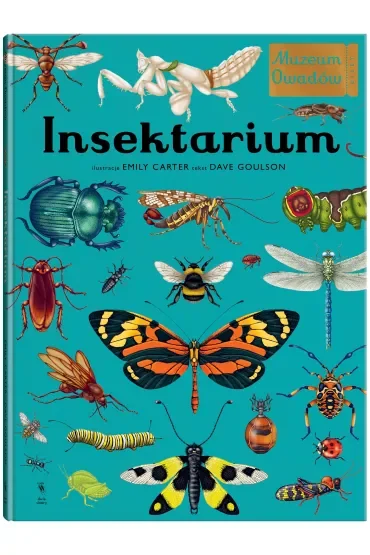 Insektarium. Muzeum Owadów
