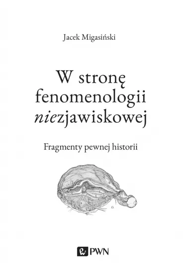 W stronę fenomenologii niezjawiskowej