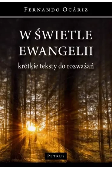 W świetle Ewangelii Krótkie teksty do rozważań