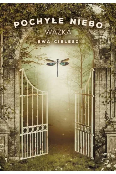 Ważka. Pochyłe niebo. Tom 3
