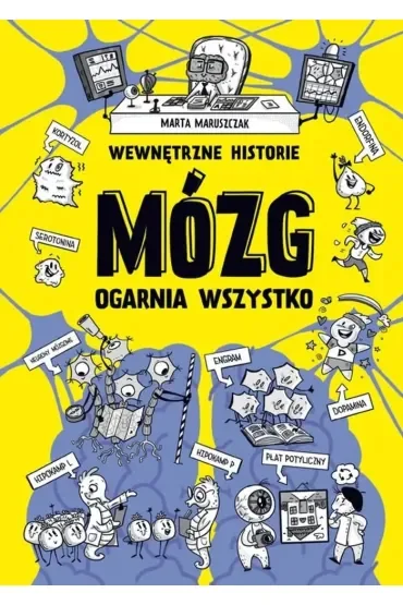 Wewnętrzne historie. Mózg ogarnia wszystko