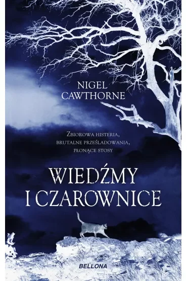 Wiedźmy i czarownice