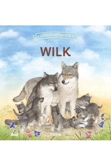 Wilk. Dzikie zwierzęta w naturze