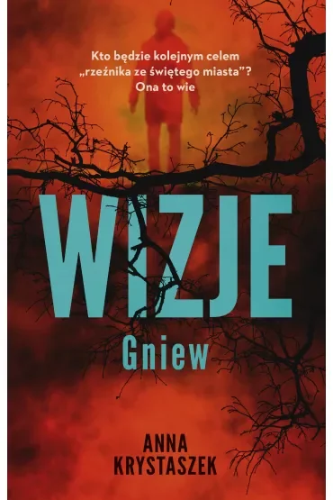 Wizje