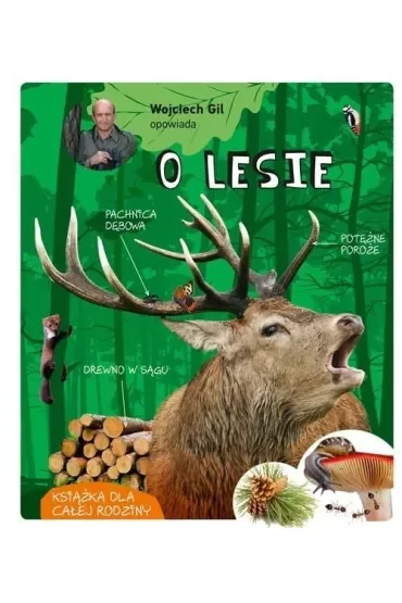 Wojciech Gil opowiada o lesie