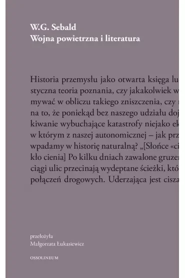 Wojna powietrzna i literatura