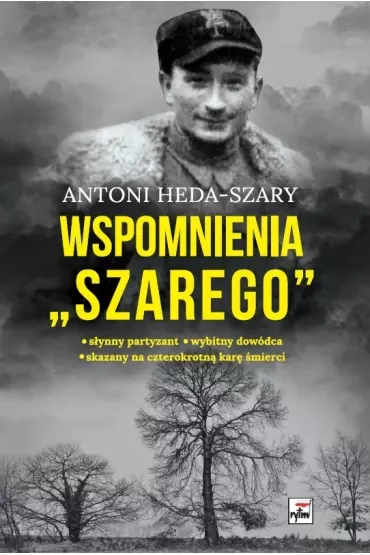 Wspomnienia Szarego