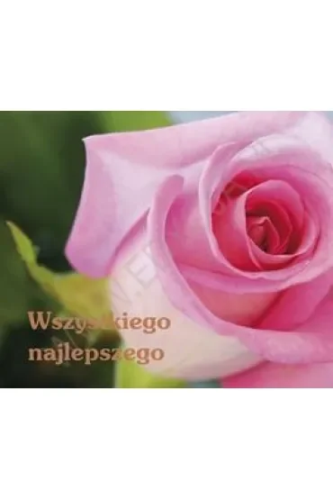 Wszystkiego najlepszego. Perełka