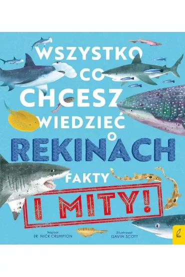 Wszystko, co chcesz wiedzieć o rekinach. Fakty i mity!