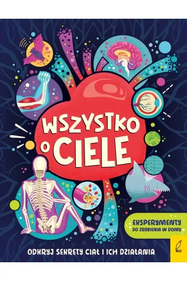 Wszystko o CIELE