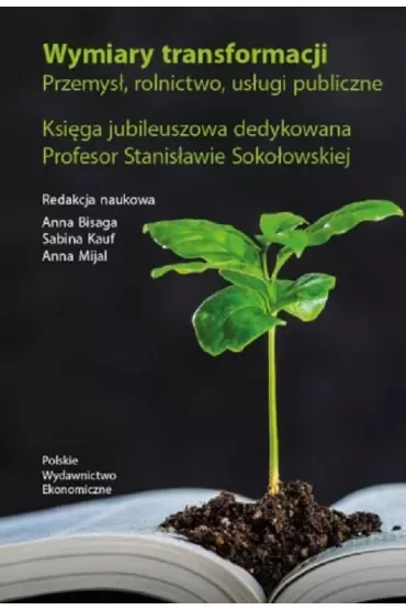 Wymiary transformacji. Przemysł, rolnictwo, usługi publiczne