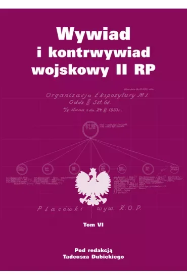 Wywiad i kontrwywiad wojskowy II RP. Z działalności Oddziału II SG WP. Tom 6