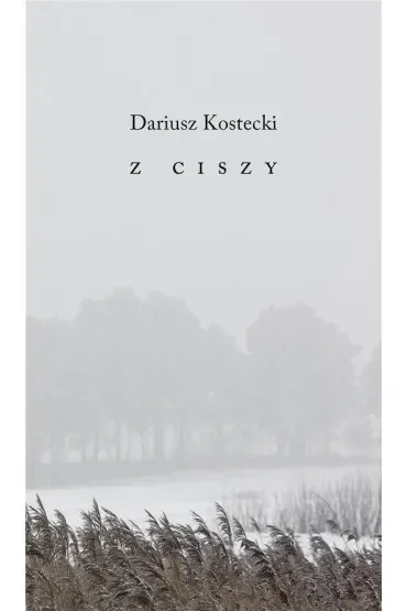 Z ciszy