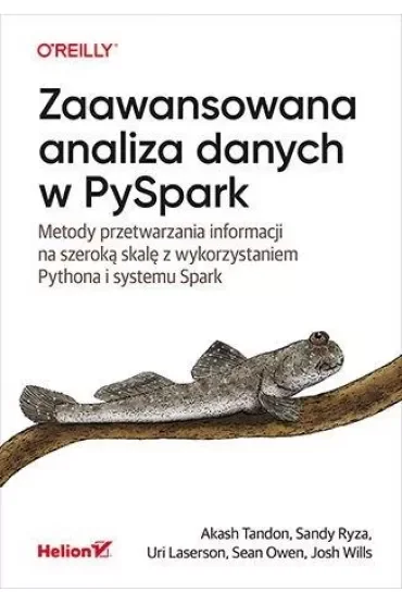 Zaawansowana analiza danych w PySpark. Metody przetwarzania informacji na szeroką skalę z wykorzystaniem Pythona i systemu Spark