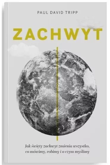 Zachwyt