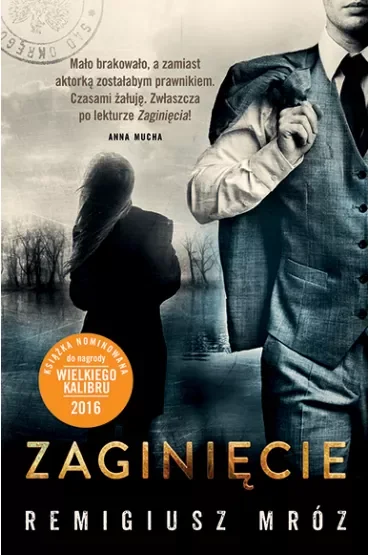 Zaginięcie. Joanna Chyłka. Tom 2