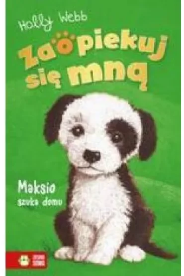 Maksio szuka domu. Zaopiekuj się mną