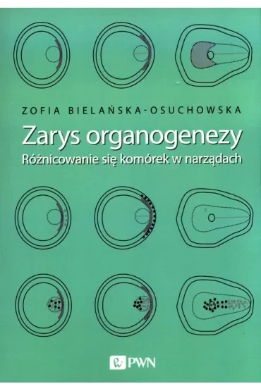 Zarys organogenezy
