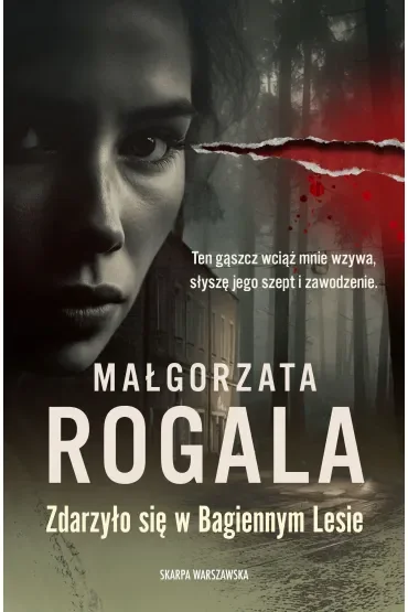 Zdarzyło się w Bagiennym Lesie