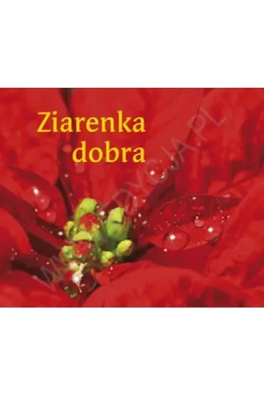 Ziarenka dobra. Perełka