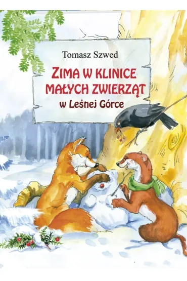 Zima w klinice małych zwierząt w Leśnej Górce