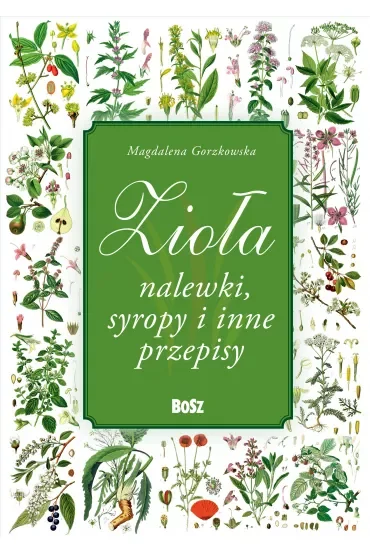 Zioła. Nalewki, syropy i inne przepisy