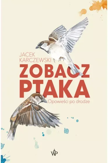 Zobacz ptaka