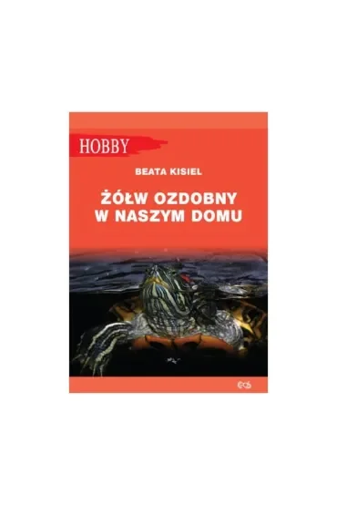 Żółw ozdobny w naszym domu