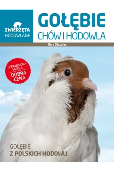 Gołębie. Chów i hodowla
