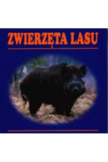 Zwierzęta lasu (składanka)