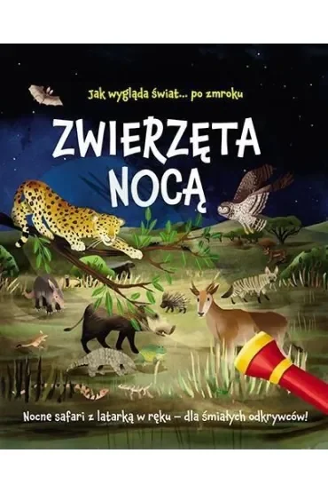 Zwierzęta nocą. Nocne safari z latarką w ręku dla śmiałych odkrywców