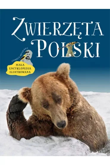 Zwierzęta Polski. Mała encyklopedia ilustrowana