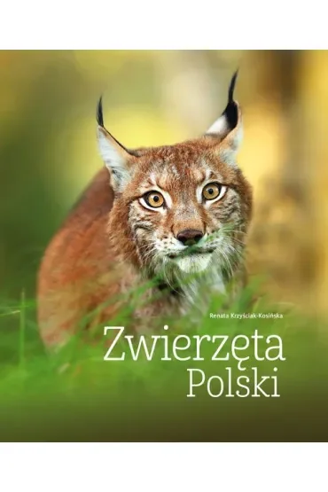 Zwierzęta Polski