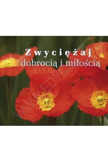 Zwyciężaj dobrocią i miłością. Perełka 193