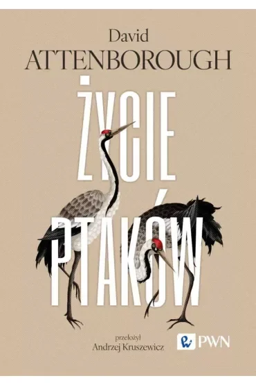 Życie ptaków