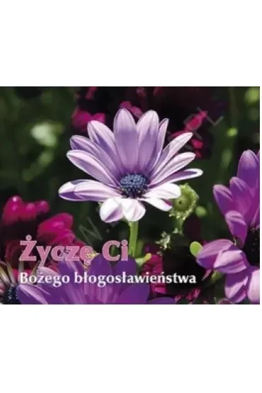 Życzę Ci Bożego błogosławieństwa. Perełka 215